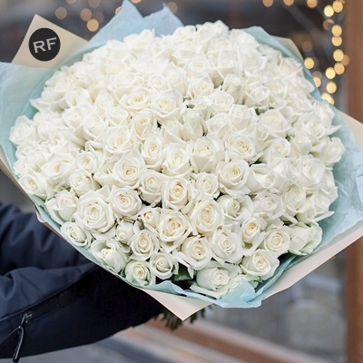 101 White Rose