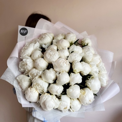 Peony rose delivery to Moscow