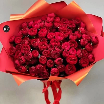 Red Peony for Moscow