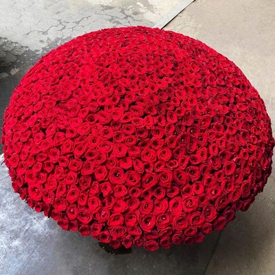 1001 Heart Roses