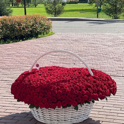 501 Red Roses - Image 2