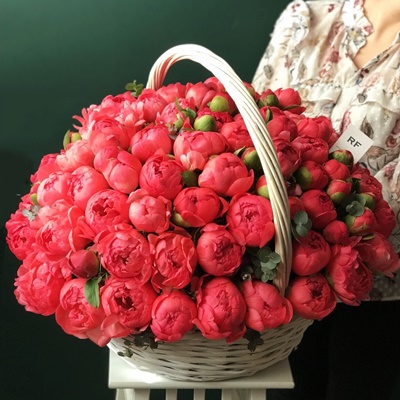 101 peonies in basket