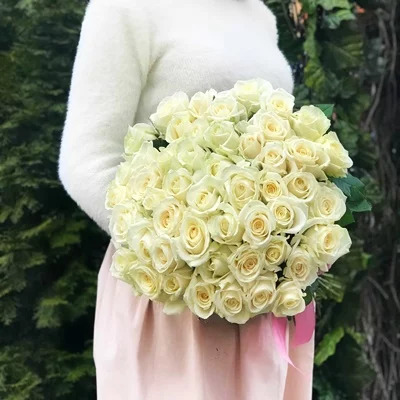 51 белая роза