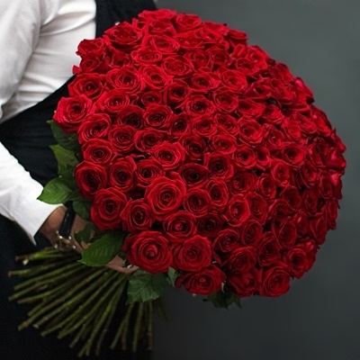 Roses for Samara