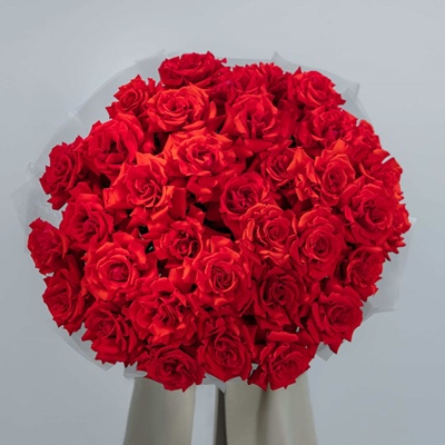 Red roses delivery in Moscow